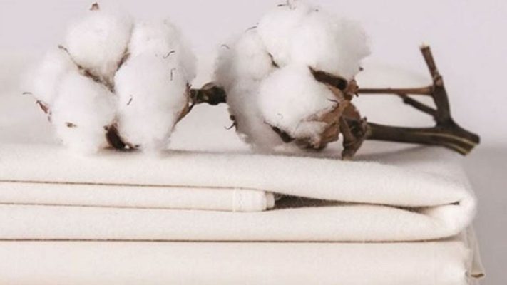 Cấu trúc cellulose trong sợi bông giúp vải bông mềm hút và thông thoáng.